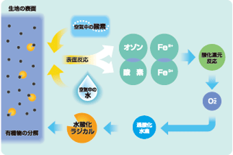 TioTioの酸化還元作用と活性作用のしくみ TioTioの酸化還元作用と活性作用のしくみ