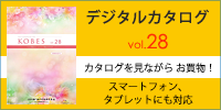�_�ː��N KOBES �f�W�^���J�^���O vol.28